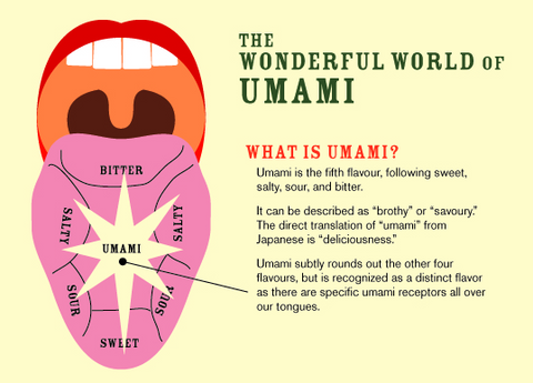 UMAMI Infographics - The U-Matrix